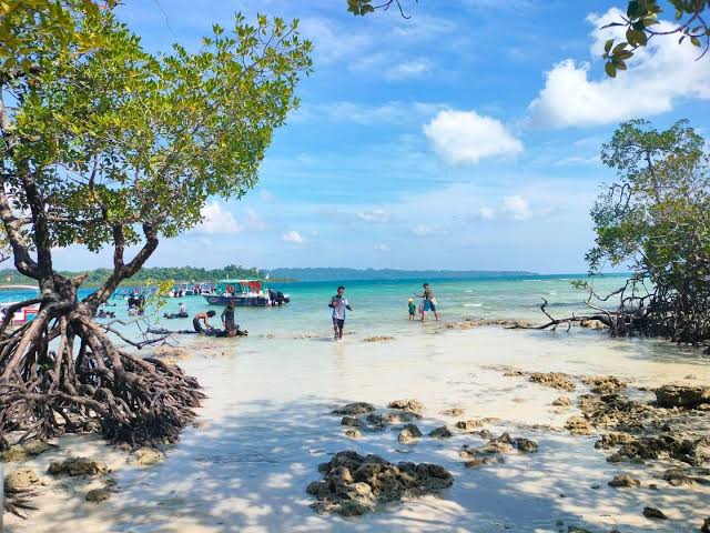 Havelock Island
