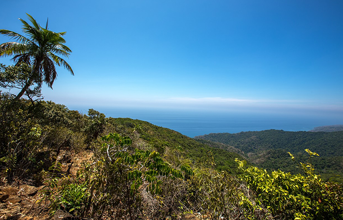 Andaman Adventure & Scuba Special