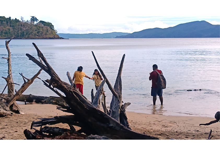Andaman Budget Getaway